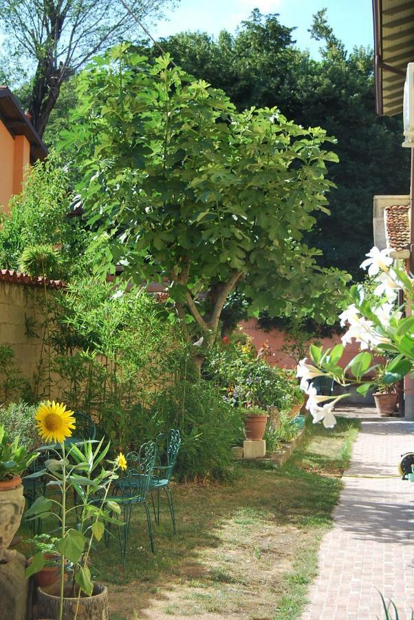 Bergamo Bassa Bed & Breakfast Екстериор снимка